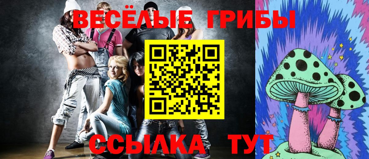 Галлюциногенные грибы Psilocybine cubensis  Вход с VPN  Мценск 