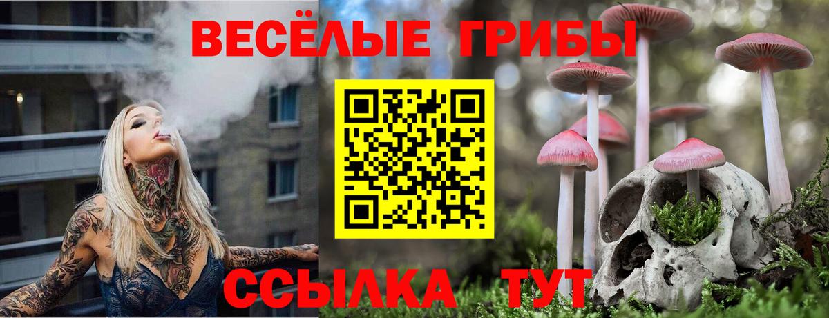 Галлюциногенные грибы прущие грибы Мценск